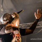 140 134 Tortharry Derrick Green